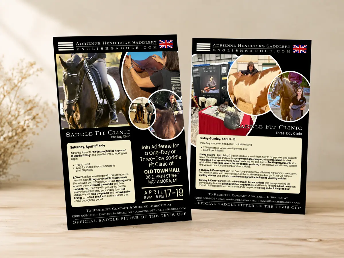 Saddle box bottom artwork with playful horse line illustrations