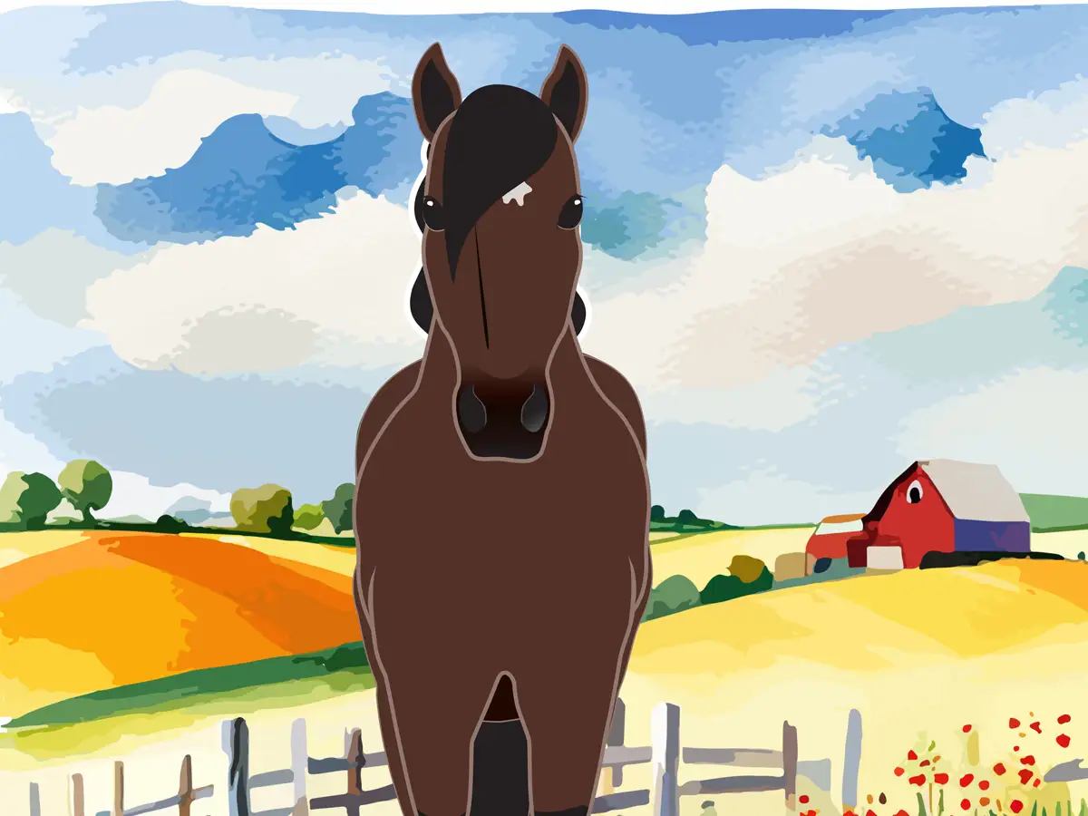 Custom branding illustration