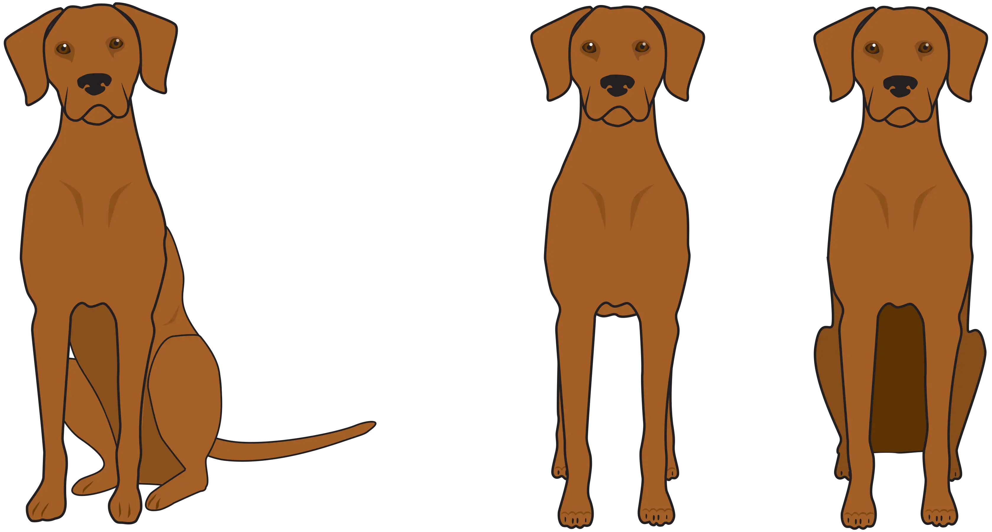 Three custom character illustrations of Zuzu the Rhodesian Ridgeback