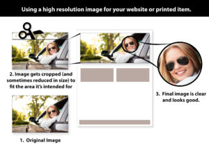 graphic showing how high resolution images are used in web and print designs