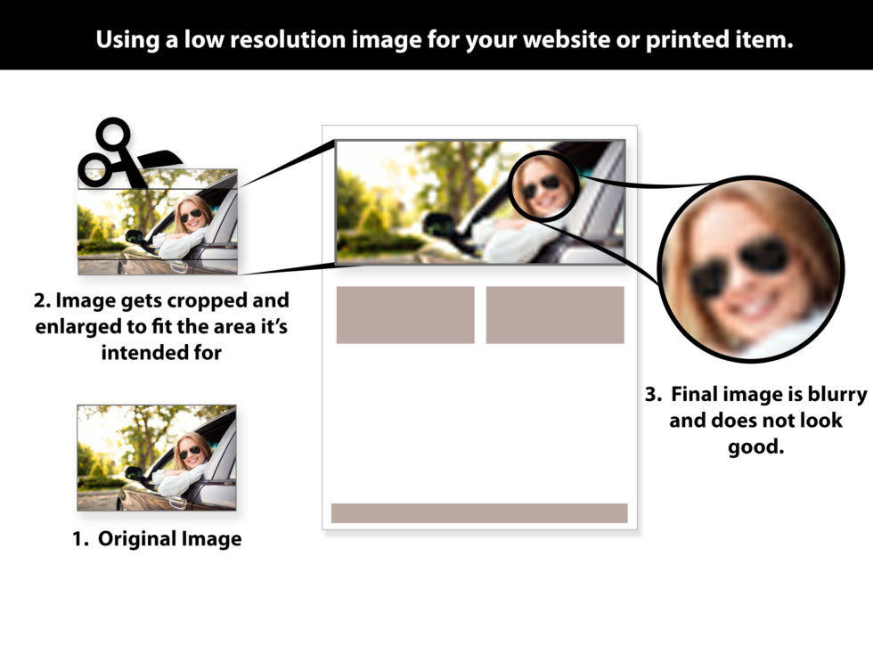 Selecting images for your website or printed materials - Wendy Westbrook