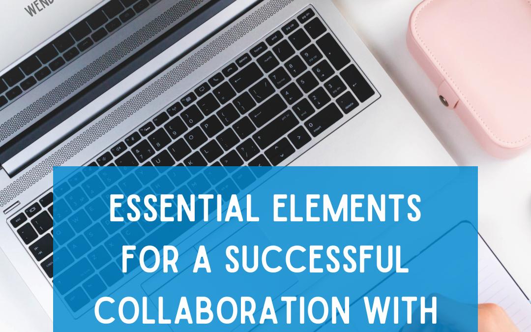 Essential Elements for a Successful Collaboration with a Web Designer