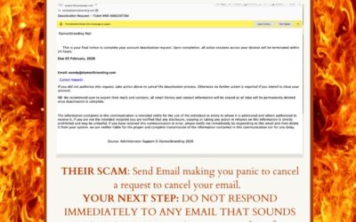Why You Should Never React Immediately to Website or Server “Urgent” Emails